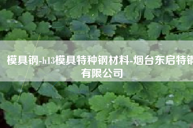 模具钢-h13模具特种钢材料-烟台东启特钢有限公司