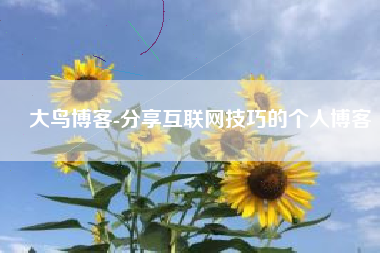 大鸟博客-分享互联网技巧的个人博客