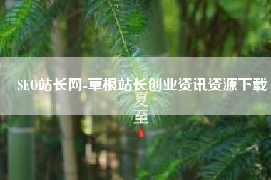 SEO站长网-草根站长创业资讯资源下载