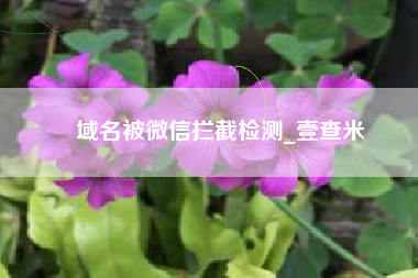 域名被微信拦截检测_壹查米