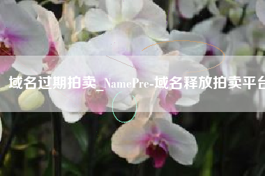 域名过期拍卖_NamePre-域名释放拍卖平台