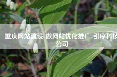 重庆网站建设-做网站优化推广-引序科技公司