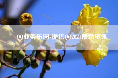 QQ业务乐园-提供QQ2021最新资讯