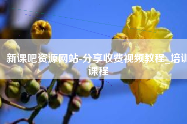 新课吧资源网站-分享收费视频教程_培训课程