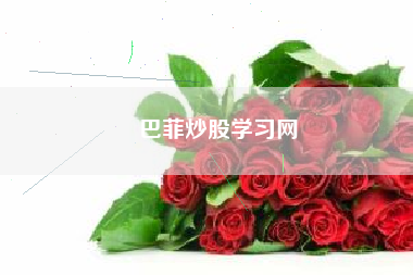 巴菲炒股学习网