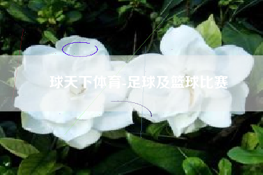 球天下体育-足球及篮球比赛
