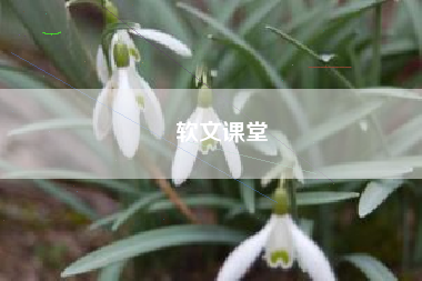 软文课堂