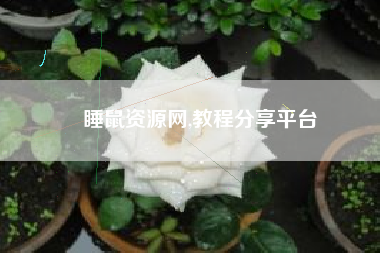 睡鼠资源网,教程分享平台