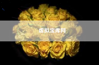 虚拟宝库网