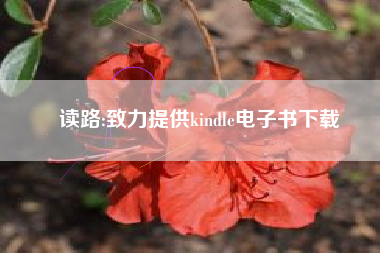 读路:致力提供kindle电子书下载