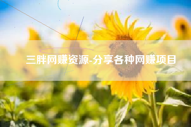 三胖网赚资源-分享各种网赚项目