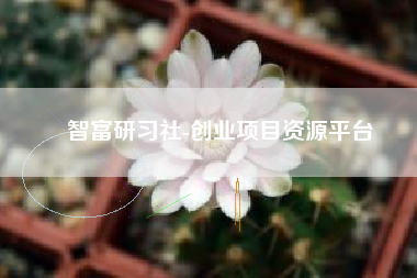 智富研习社-创业项目资源平台