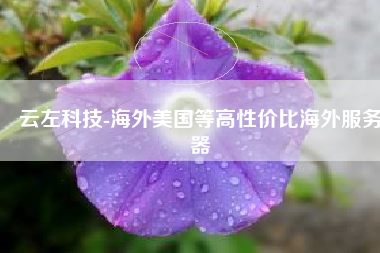 云左科技-海外美国等高性价比海外服务器