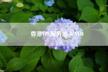 香港VPS服务器-DIYVM