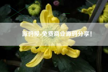 源码屋-免费商业源码分享！