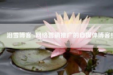 泪雪博客 -网络营销推广的自媒体博客！