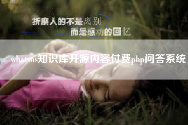 whatsns知识库开源内容付费php问答系统
