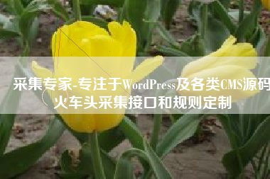 采集专家-专注于WordPress及各类CMS源码火车头采集接口和规则定制