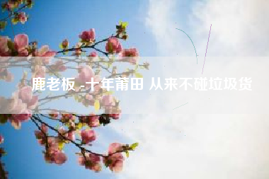 鹿老板 -十年莆田 从来不碰垃圾货