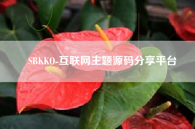 SBKKO-互联网主题源码分享平台