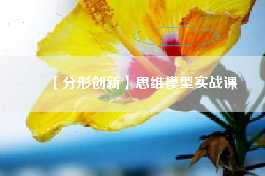 【分形创新】思维模型实战课