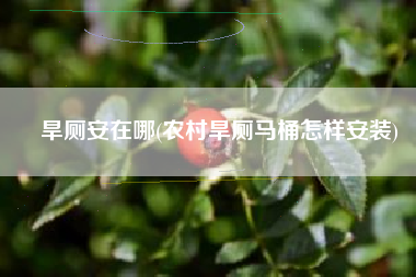 旱厕安在哪(农村旱厕马桶怎样安装)