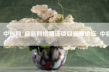 中创网_最新网络赚钱项目资源论坛_中赚   