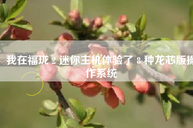 我在福珑 2 迷你主机体验了 8 种龙芯版操作系统
