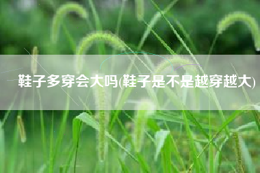 鞋子多穿会大吗(鞋子是不是越穿越大)
