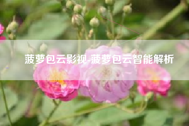菠萝包云影视-菠萝包云智能解析