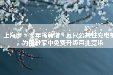 上海市 2021 年将新增 1 万只公共性充电桩，为困难家中免费升级百兆宽带