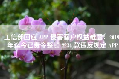 工信部回应 APP 侵害客户权益难题：2019 年迄今已责令整顿 2234 款违反规定 APP