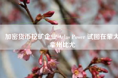 加密货币挖矿企业 Atlas Power 试图在蒙大拿州比尤