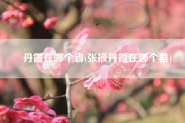 丹霞在哪个省(张掖丹霞在哪个县)