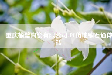 重庆榆璧陶瓷有限公司-PC仿地铺石通体砖
