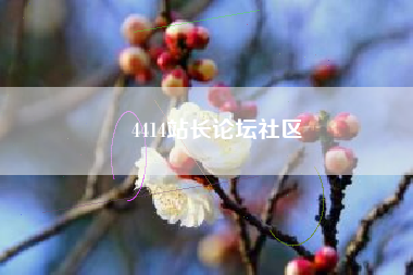 4414站长论坛社区 