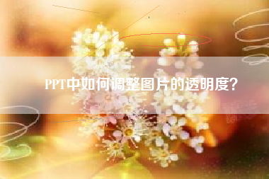 PPT中如何调整图片的透明度？