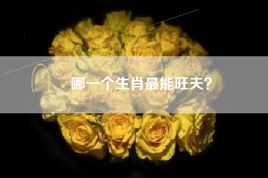 哪一个生肖最能旺夫？