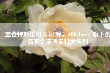 重仓特斯拉和 Roku 等，ARK Invest 旗下创新基金遭遇重特大失利