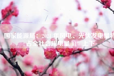 国家能源局：2021 年风电、光伏发电量将占全社会用电量 11% 上下