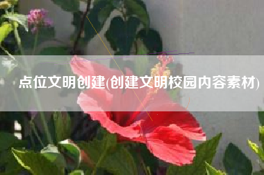 点位文明创建(创建文明校园内容素材)