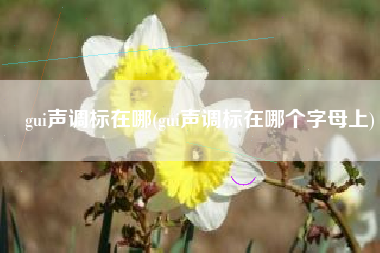 gui声调标在哪(gui声调标在哪个字母上)
