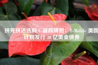 拼死拼活选购 C 波段牌照：T-Mobile 美国计划发行 30 亿美金债券