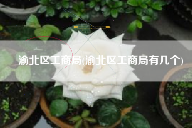 渝北区工商局(渝北区工商局有几个)