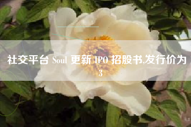 社交平台 Soul 更新 IPO 招股书,发行价为 13