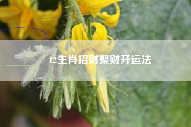 12生肖招财聚财开运法