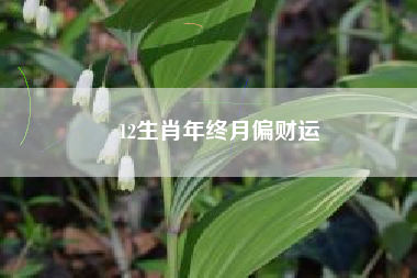 12生肖年终月偏财运