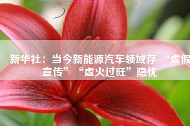 新华社：当今新能源汽车领域存 “虚假宣传”“虚火过旺”隐忧