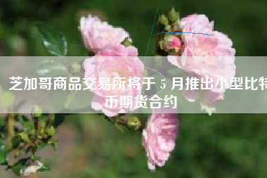 芝加哥商品交易所将于 5 月推出小型比特币期货合约