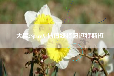 大摩:SpaceX 估值终将超过特斯拉